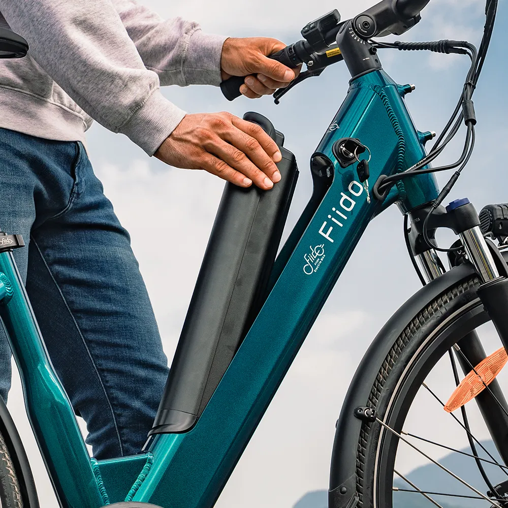2025 Fiido C11 Lichtgewicht Urban E-Bike