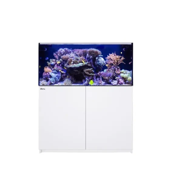 REEFER 425 G3 (91 Gallon) - Drop Ship