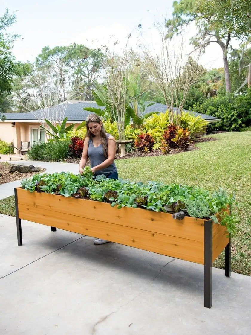 EcoStained Self-Watering Raised Planter Box with Aluminum Legs, Cedar/Cypress, 96   x24   x29