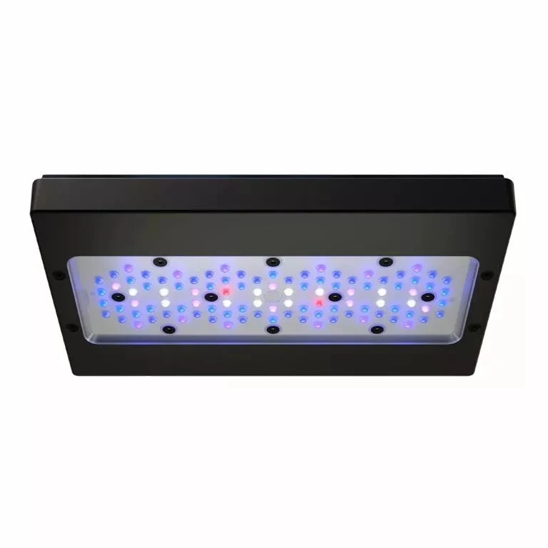 Radion XR30 G6 Blue LED Fixture
