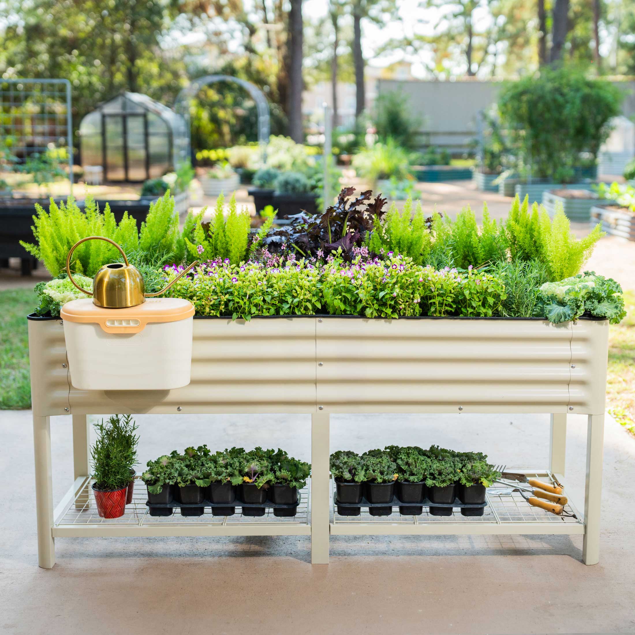 2025 Jardinera elevada – Serie V 2' x 6'