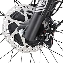 ebike adult