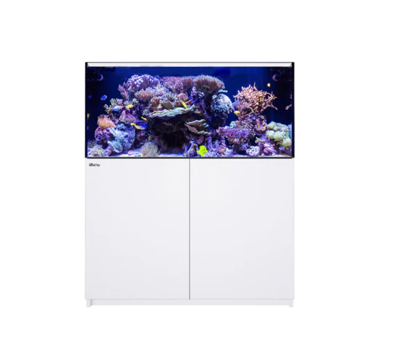 REEFER 425 G2+ (91 Gallon)