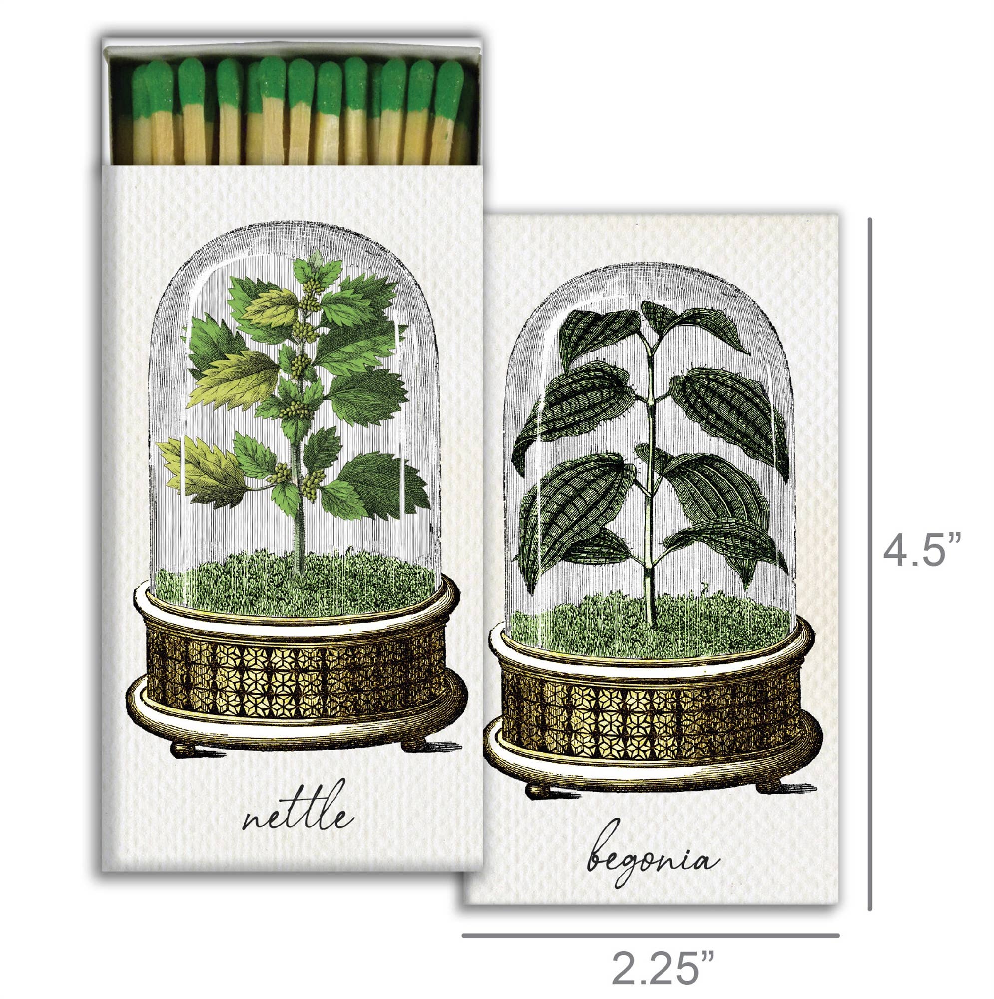 Matches - Cloche Begonia & Nettle