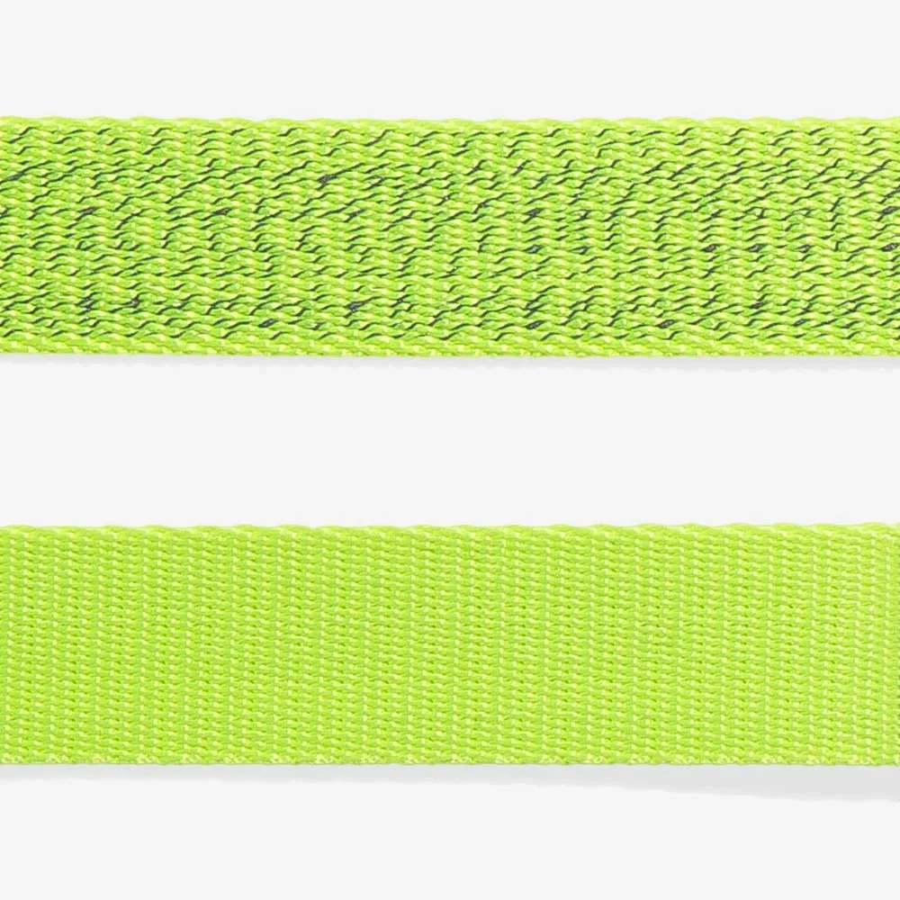 NOX Lumen | Leash