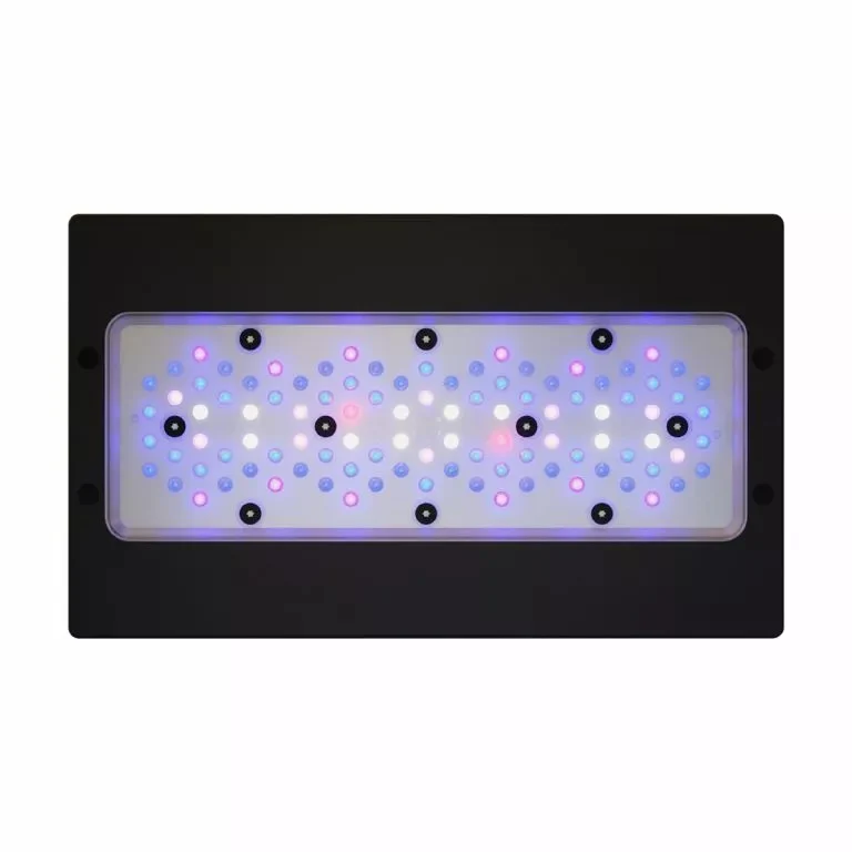 Radion XR30 G6 Blue LED Fixture