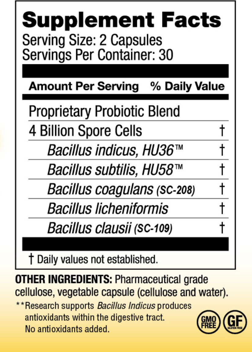 MegaSporeBiotic 60 capsules