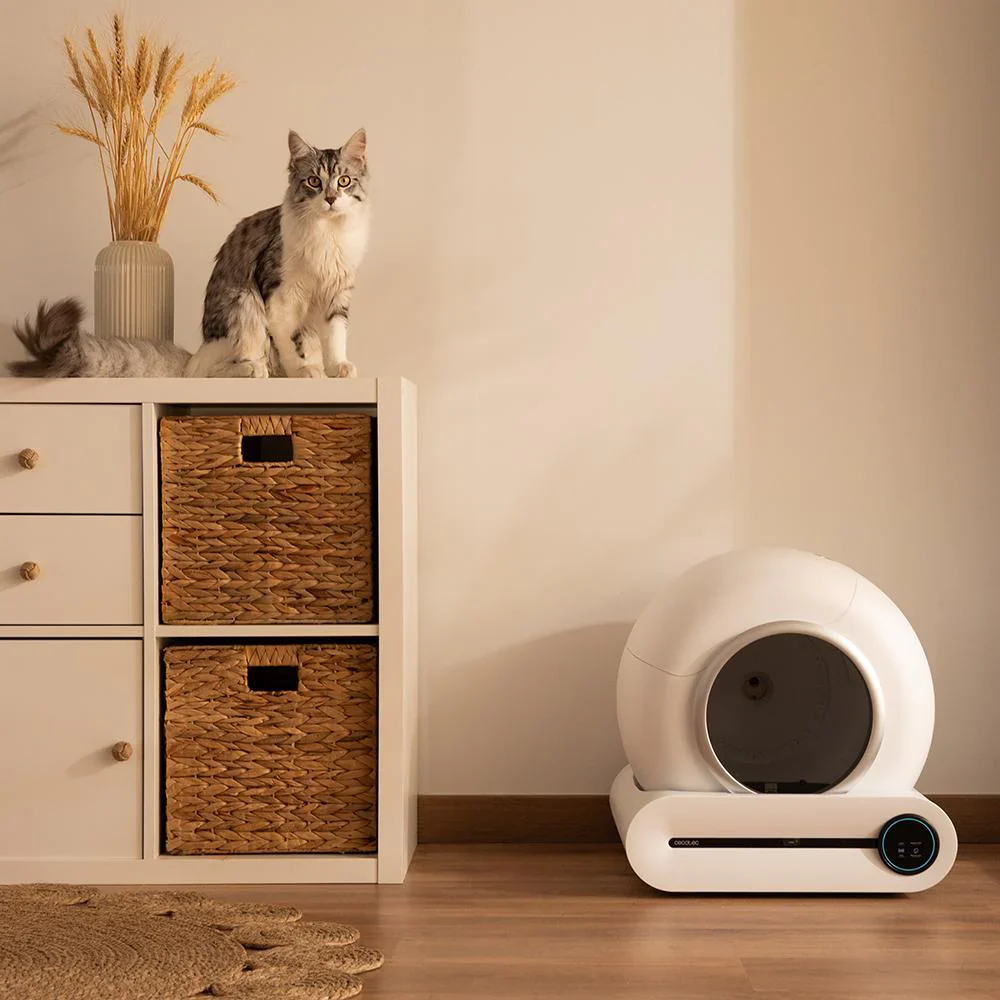 Pumba 8000 CleanKitty Smart