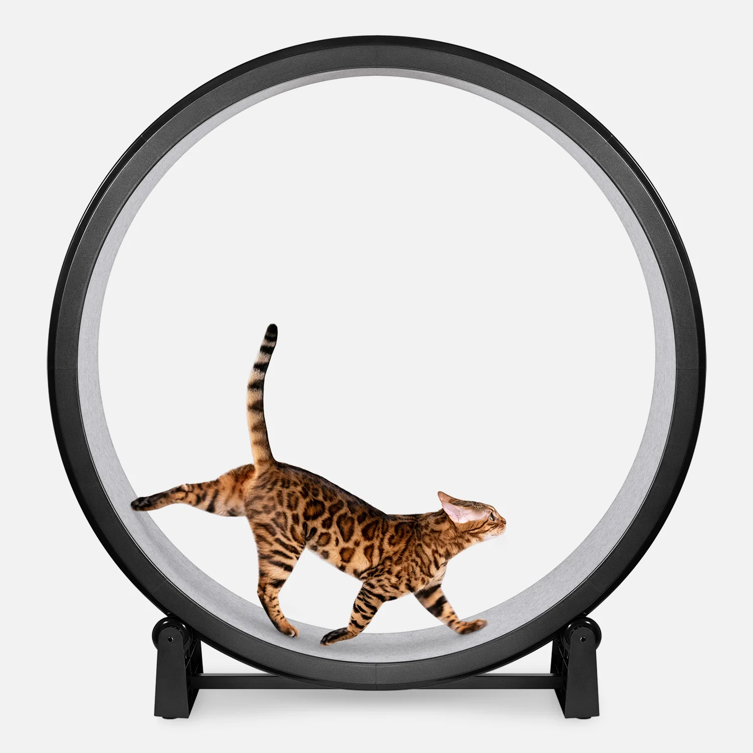 2026 Nuevo Cat Exercise Wheel