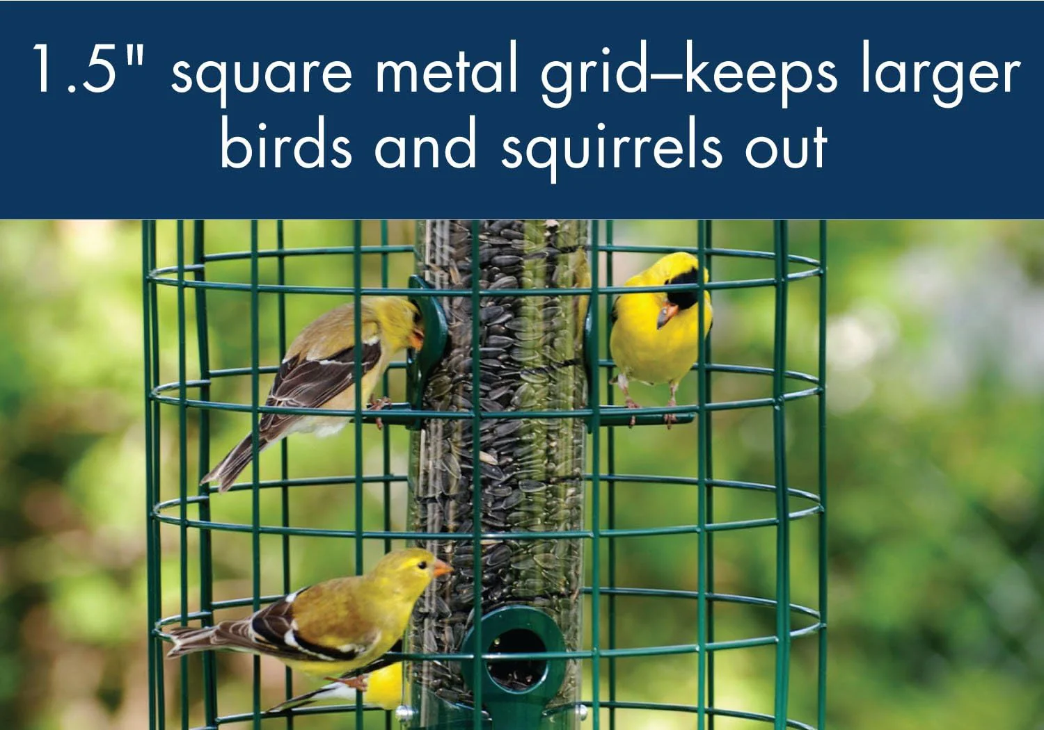 Woodlink WLC6S Caged Mixed Seed Bird Feeder