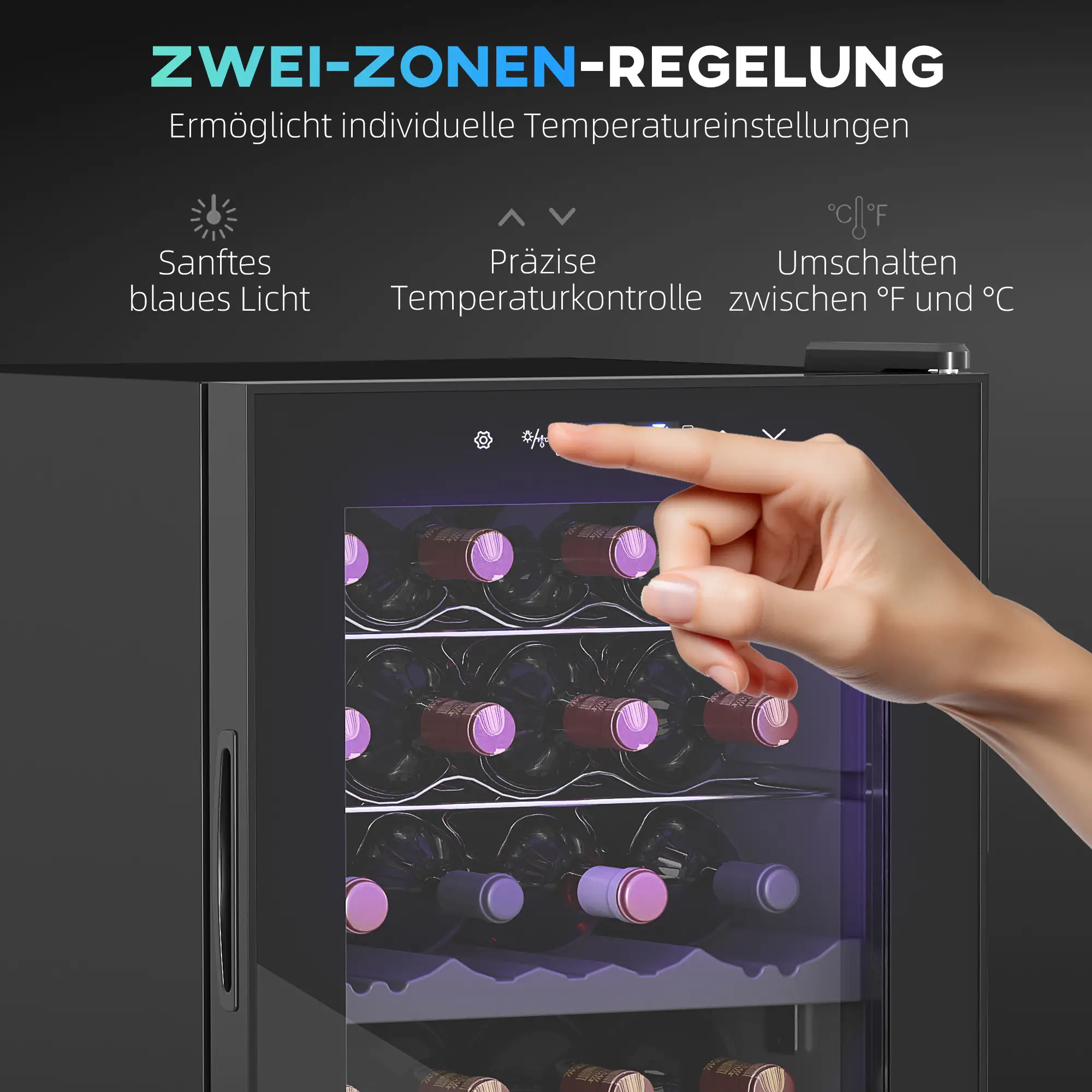 HOMCOM Weinkühlschrank 2 Zonen 28 Flaschen 74 L Schwarz