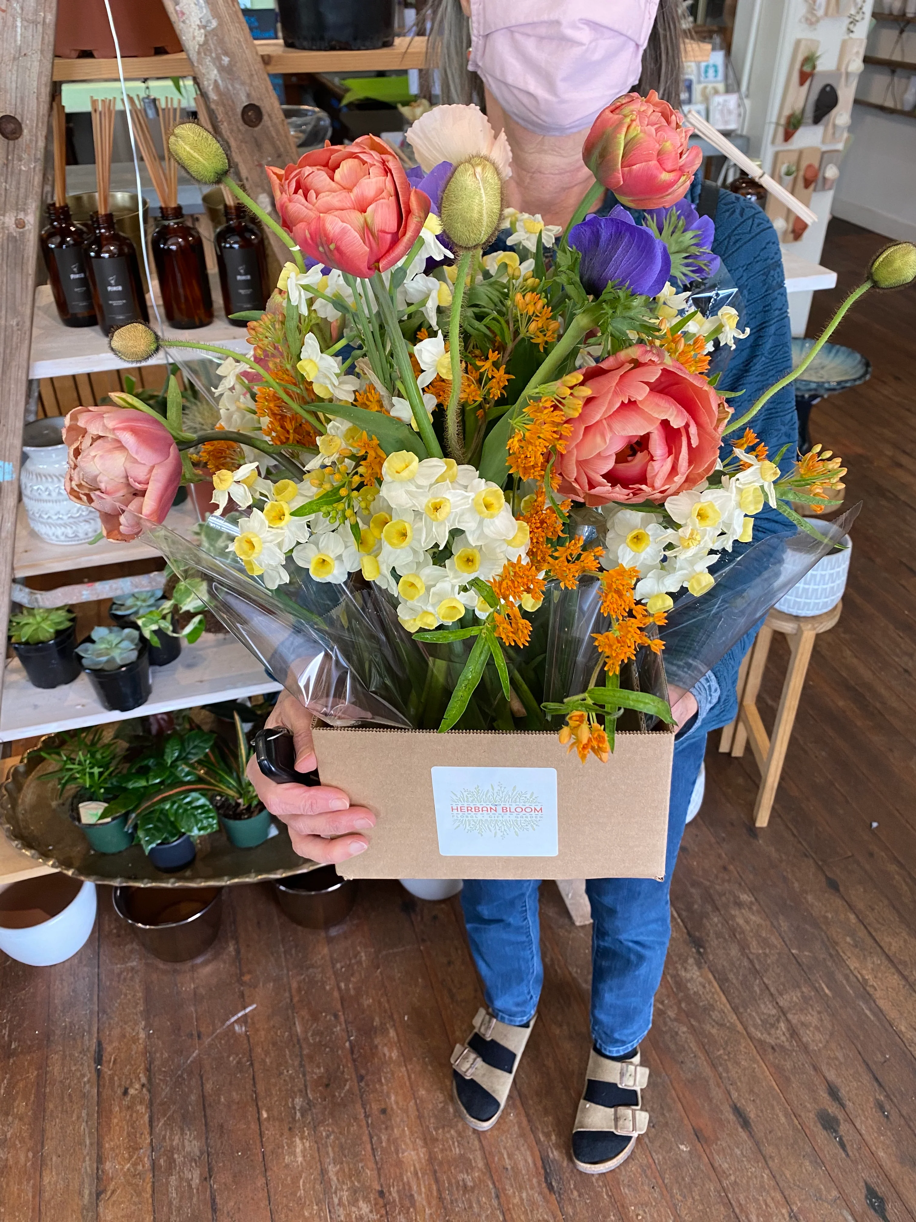 Herban Bloom Designer's Choice Seasonal Arrangement