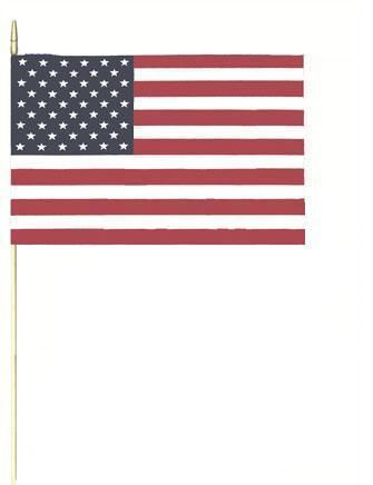 USA Pride Flags 12 x 18