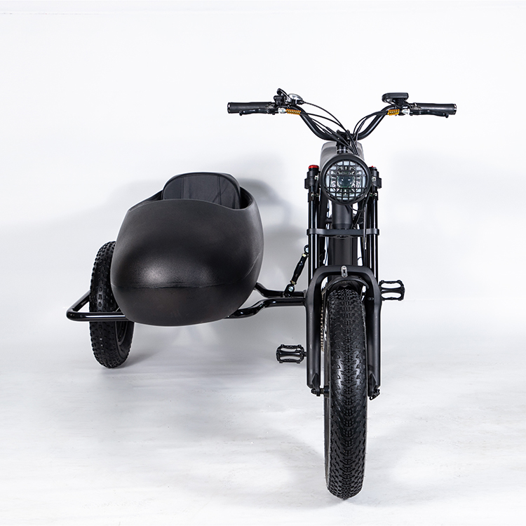 Electric tricycle AYC-ES75