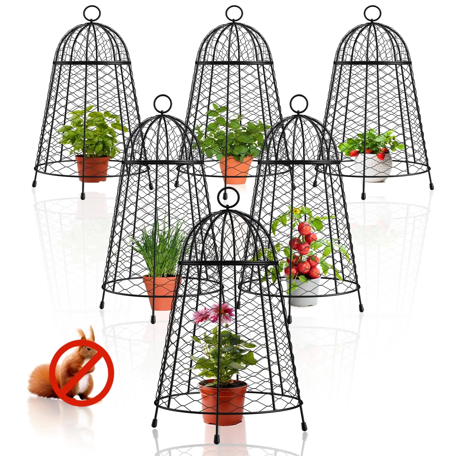 Yolid Garden Cloches for Plants Set of 6, Chicken Wire Cloche Plant