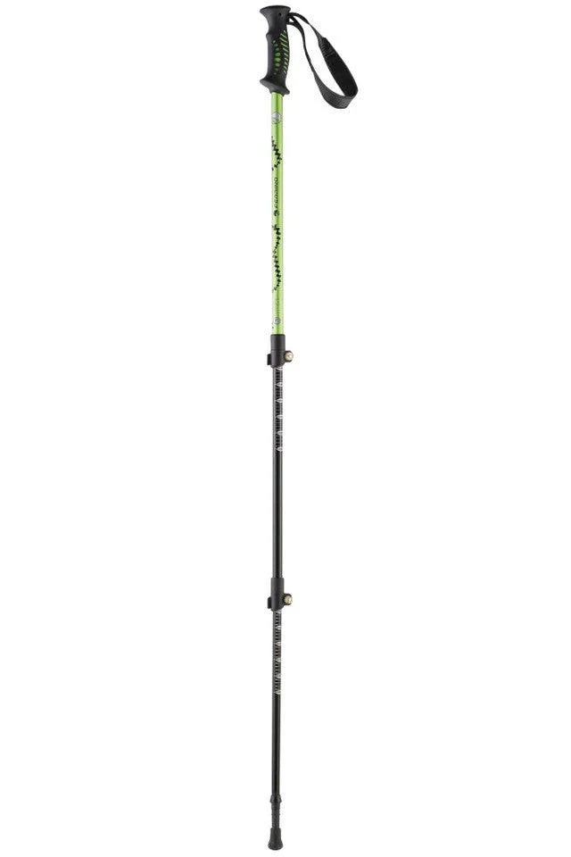 Bastoncini Totem