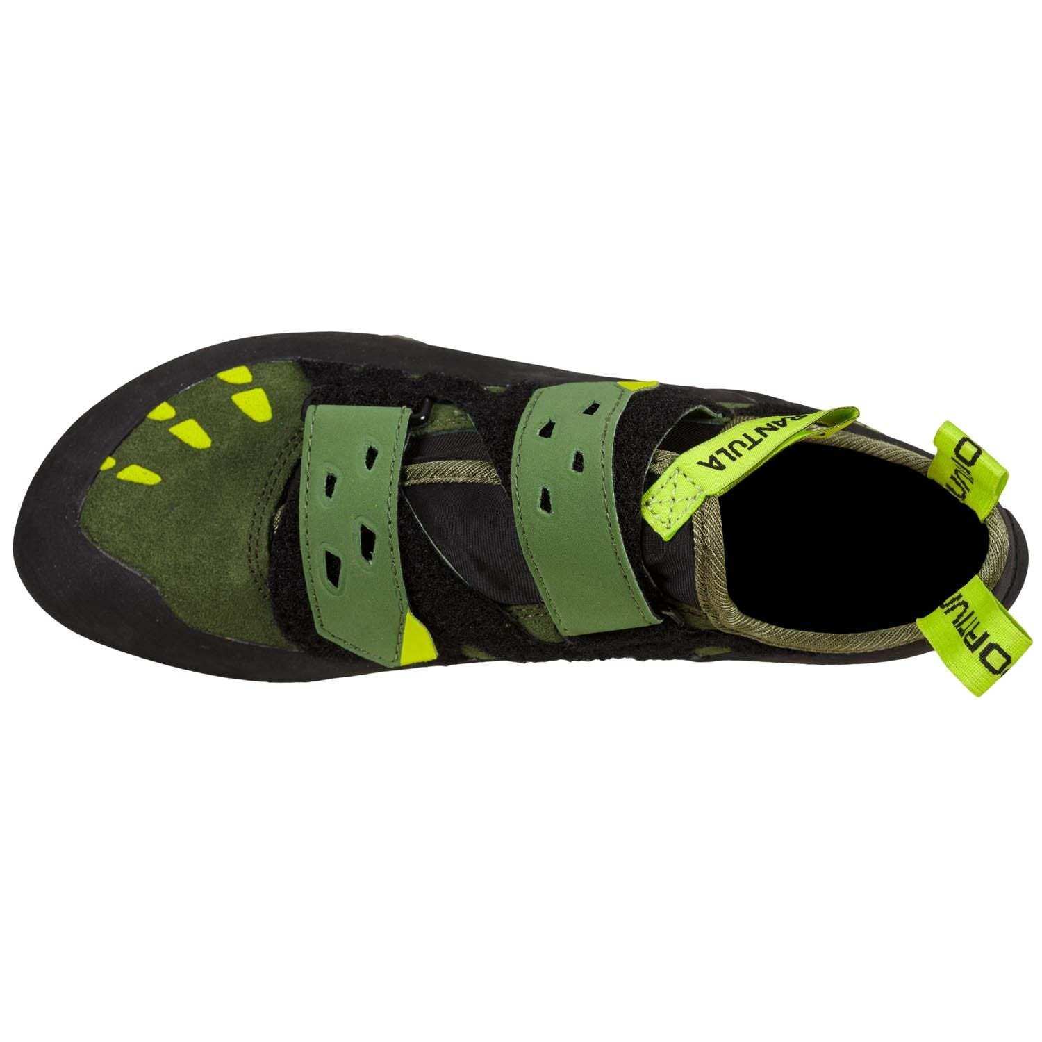 Tarantula, Olive/Neon