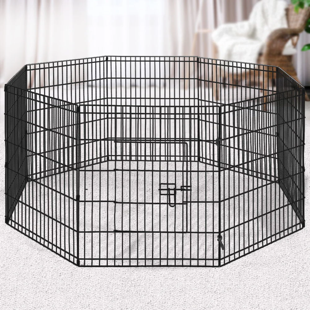 Pet Supplies