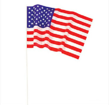 Wholesale USA Pride Flags 12