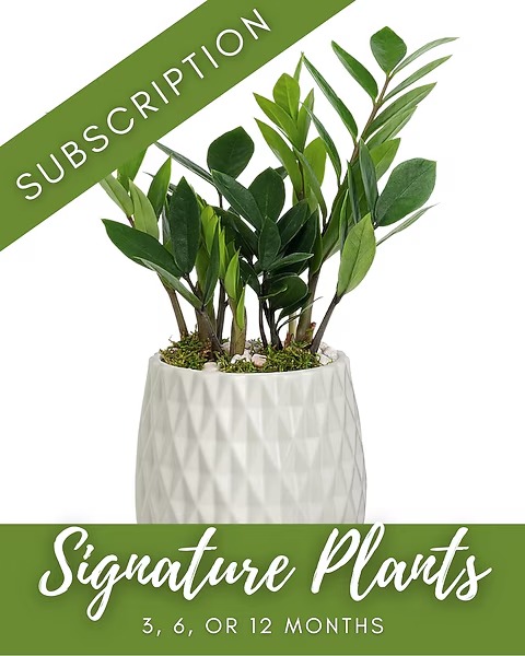 Plant Subscription
