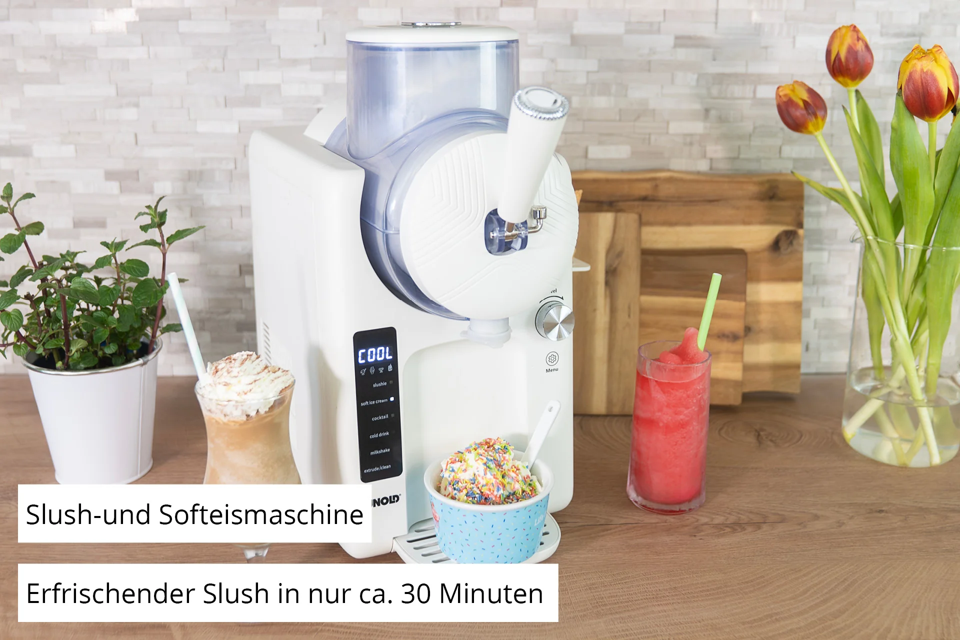 2025 Máquina 2 en 1 Slush y helado italiano Sofie