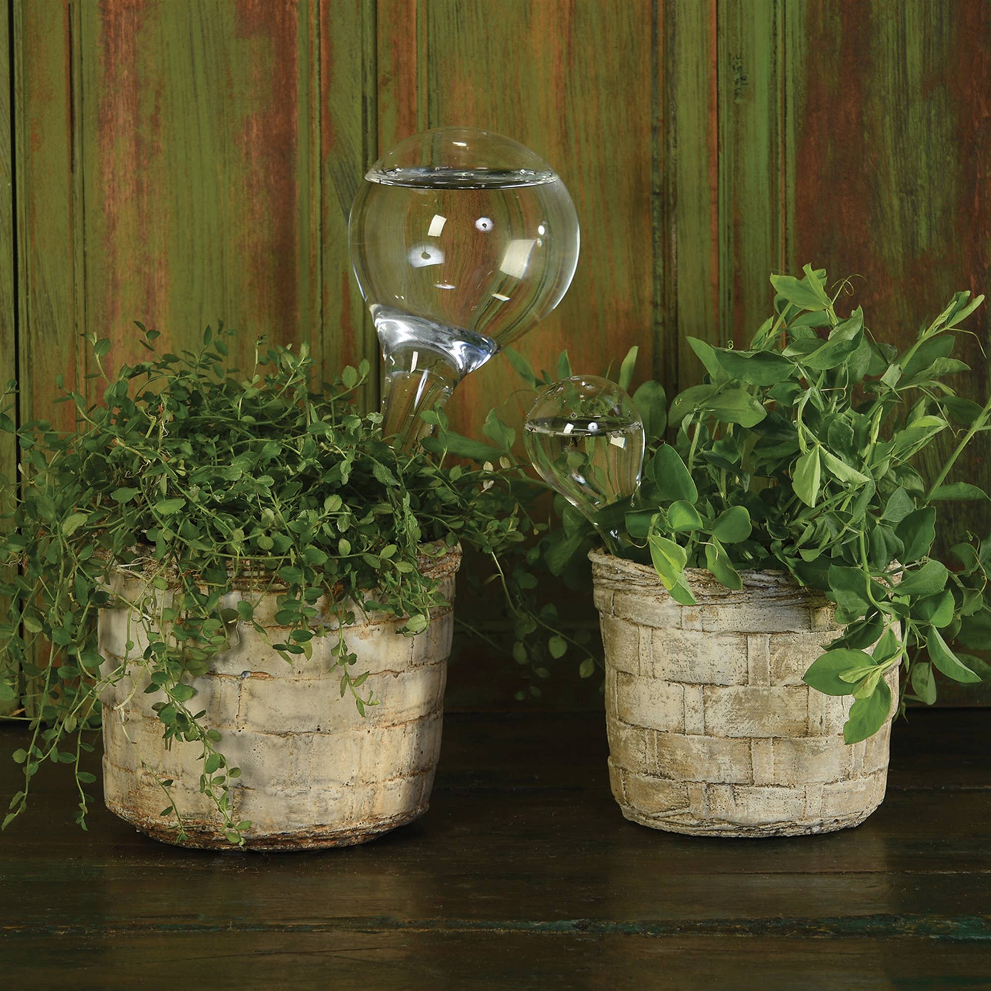 Garden Watering Ball - Large