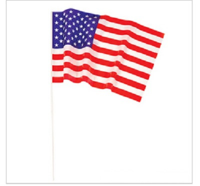 USA Pride Flags 12 x 18