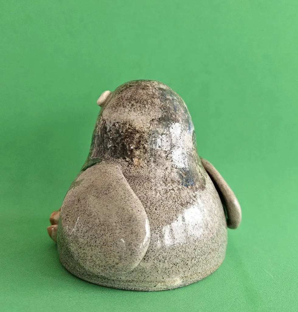City Pigeon