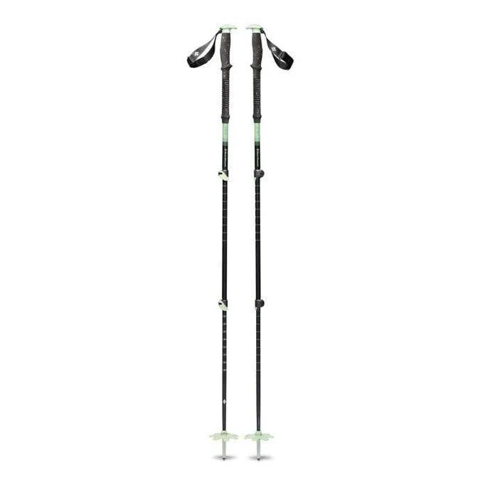 Expedition 3 Ski Poles