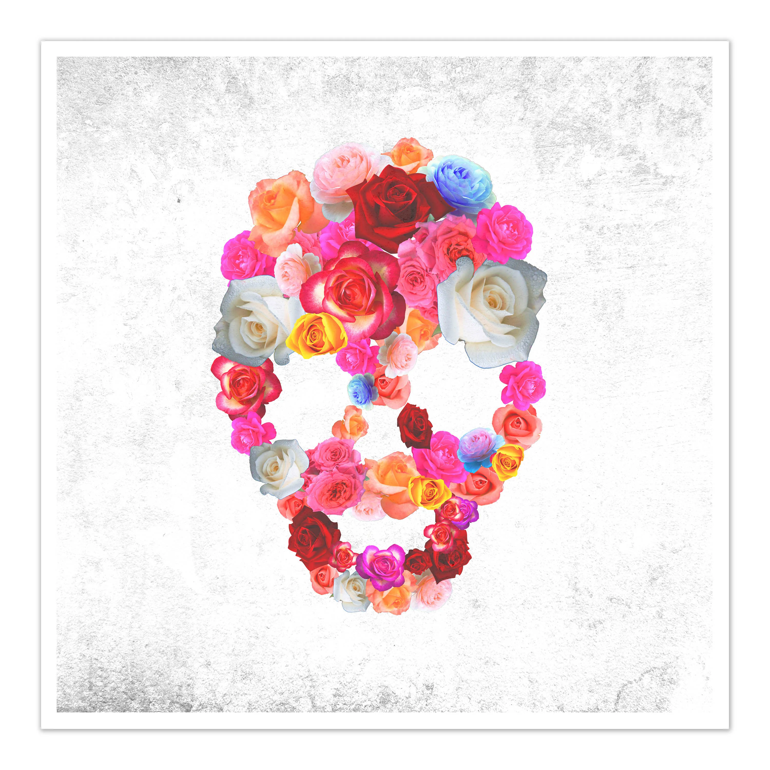 Rosie Skull