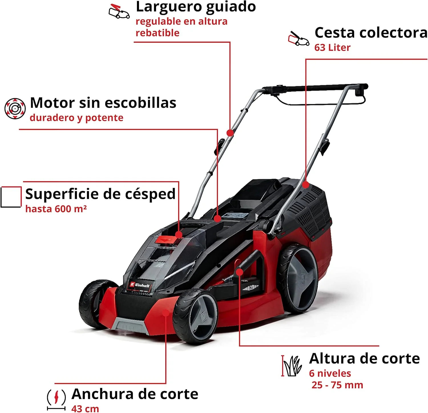 Einhell Battery mower GE-CM 43 Li M Kit Power X-Change (36V, 43 cm Cutting Width, up to 600 m², Brushless, Mulching Function, 63L Collecting Bag, with 2 x 4.0 Ah Batteries and 2 x Chargers)