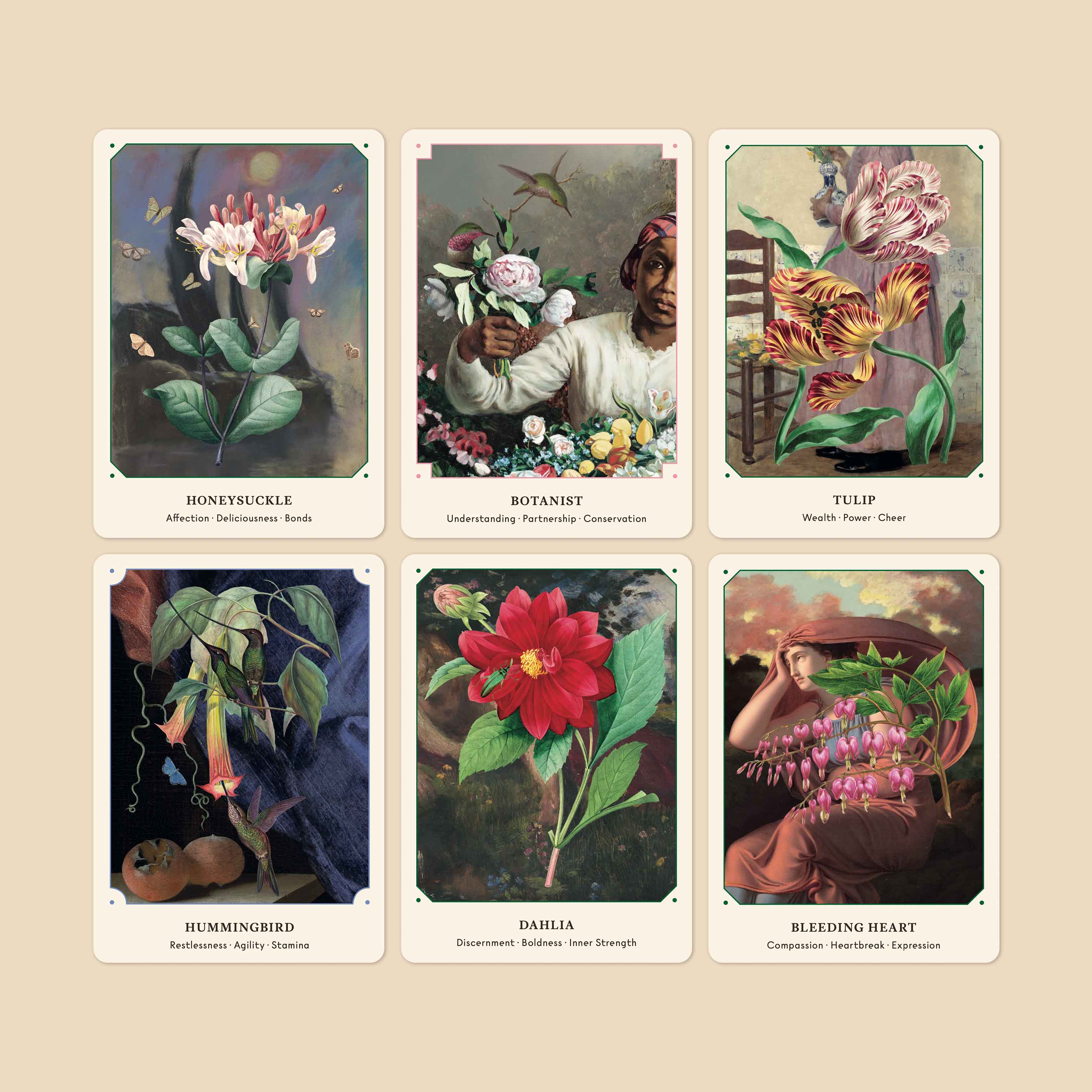 The Flower Oracle: 44 Card Deck and Guidebook BROCCOLI MAGAZINE