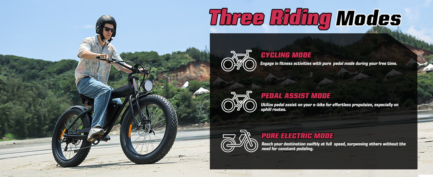 e bike for adults
