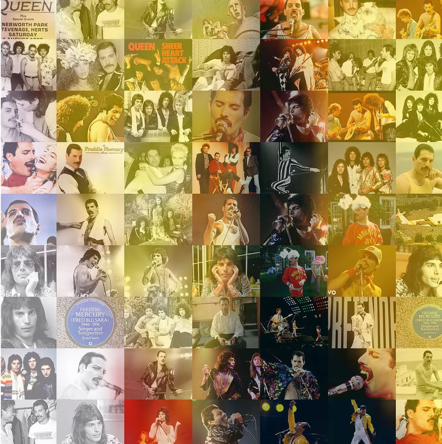 Freddie Mercury