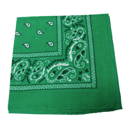 Green Paisley Bandanna 22