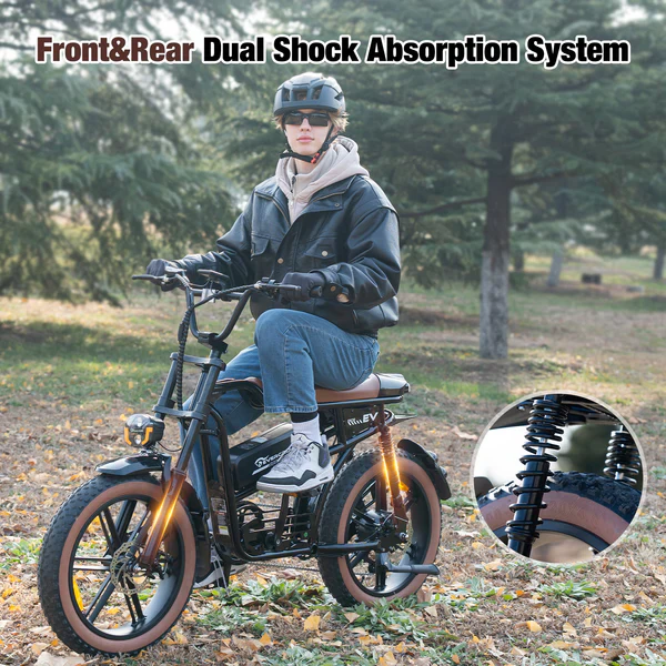 EVERCROSS EK30 E-Bike – 250W, 48V, 20 Zoll Fat Tire