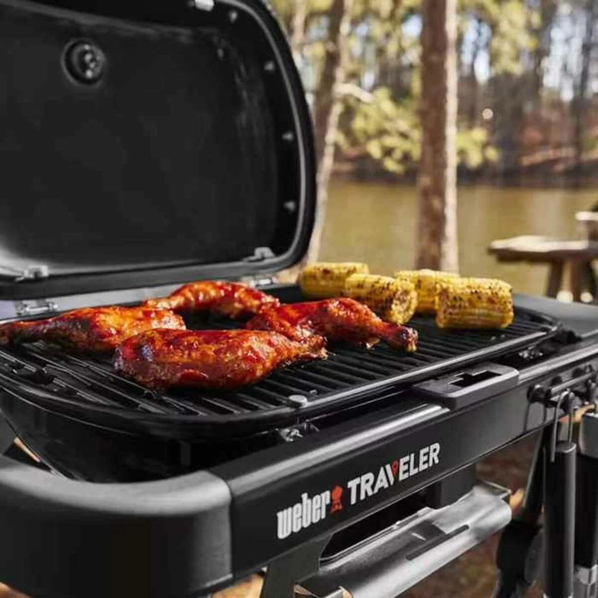 Bärbar Gasolgrill Weber Traveler