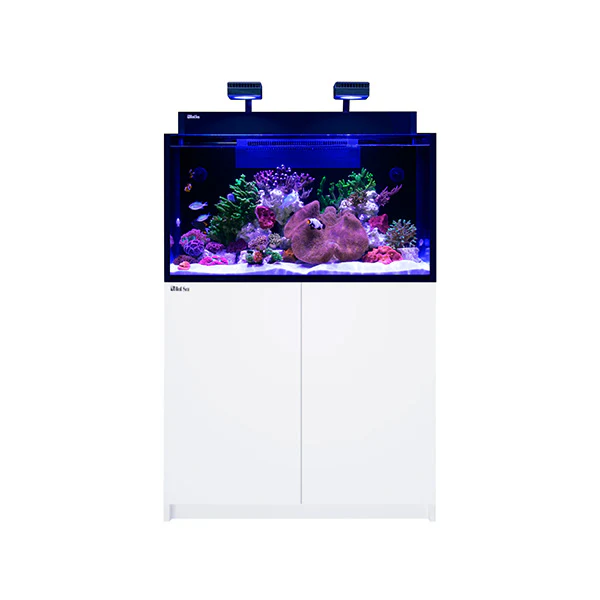 MAX NANO G2 XXL