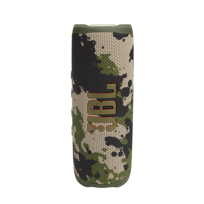 JBL Flip 6