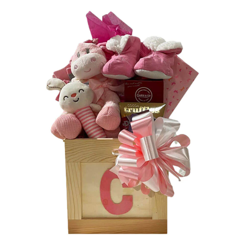 New Baby Gift - Baby Box - Girl