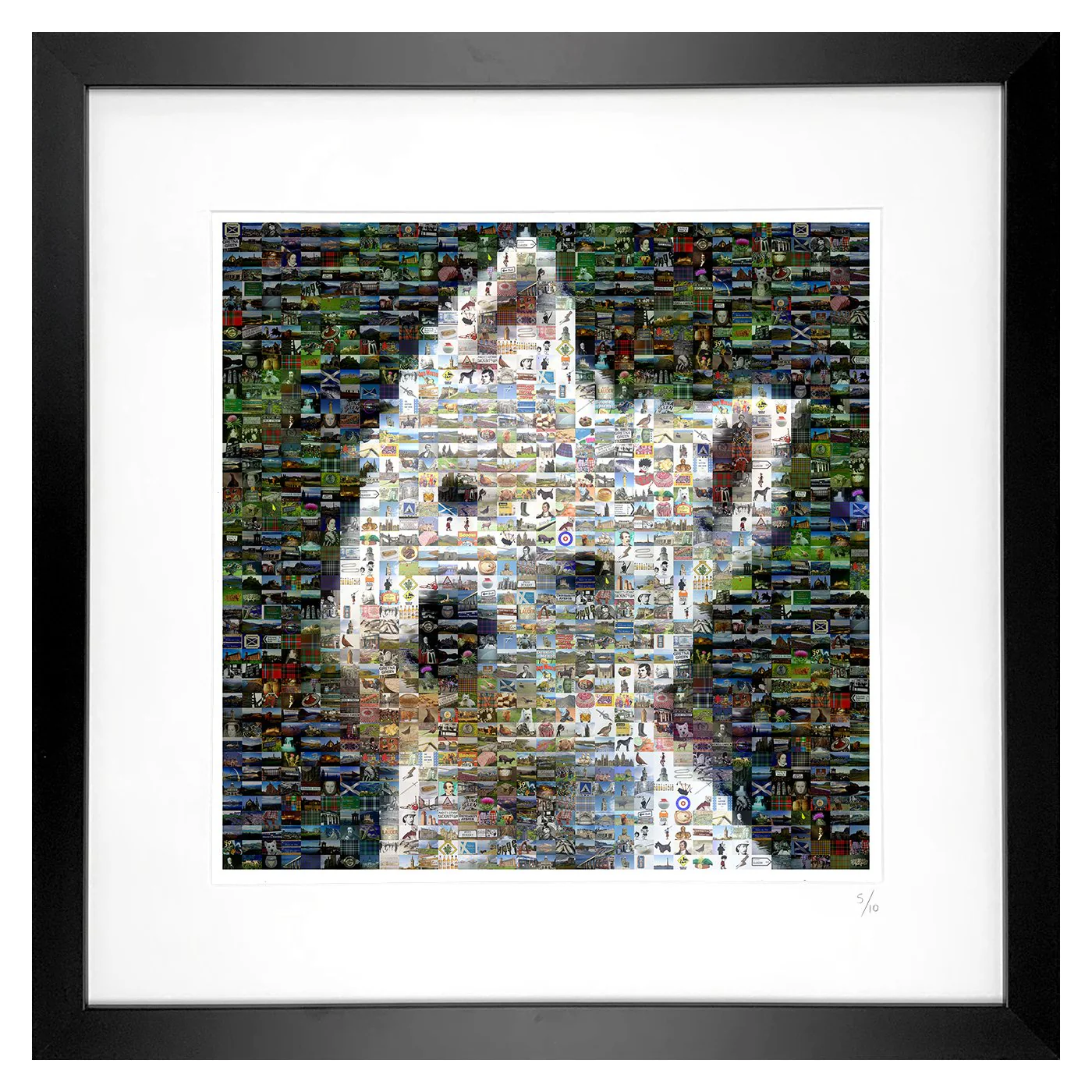 Westie