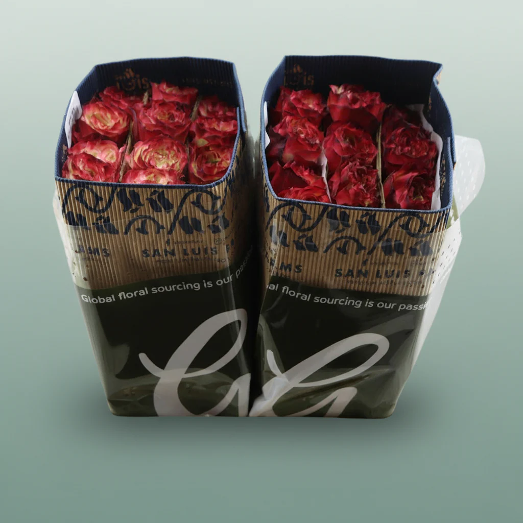 Rose Apple Jack