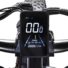 ebike
