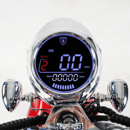LCD-Display für Citycoco MangoSteen M1P Elektro Chopper Roller