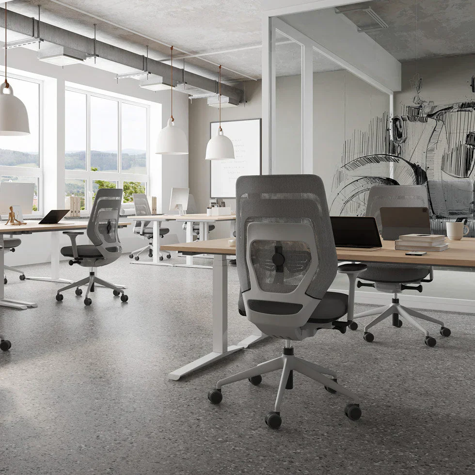2025 Silla de Oficina Ergonómica FM Asiento – ¡Aprovecha un Descuento Inmediato! – Fabricada en Alemania