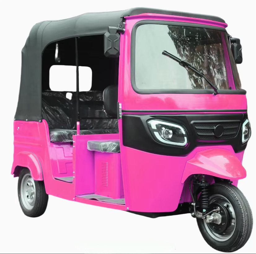 Electric tricycle DAYANG-Bajaj