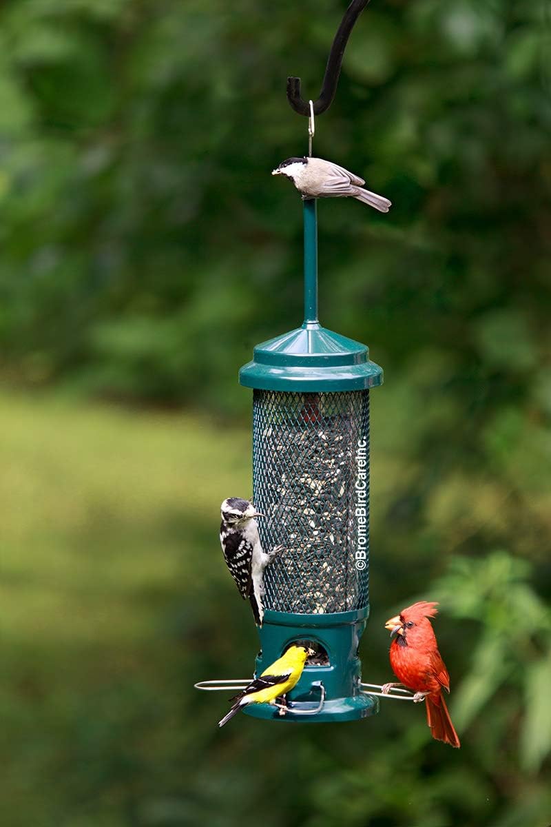 Squirrel Buster Legacy Squirrel-proof Bird Feeder w/4 Metal Perches, 2.6-pound Seed Capacity
