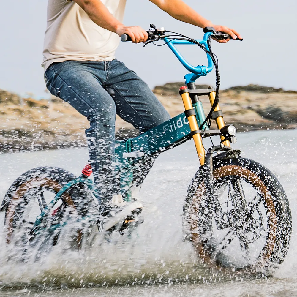 2025 Fiido M1 Pro Bicicleta eléctrica Big Wheel Fatbike