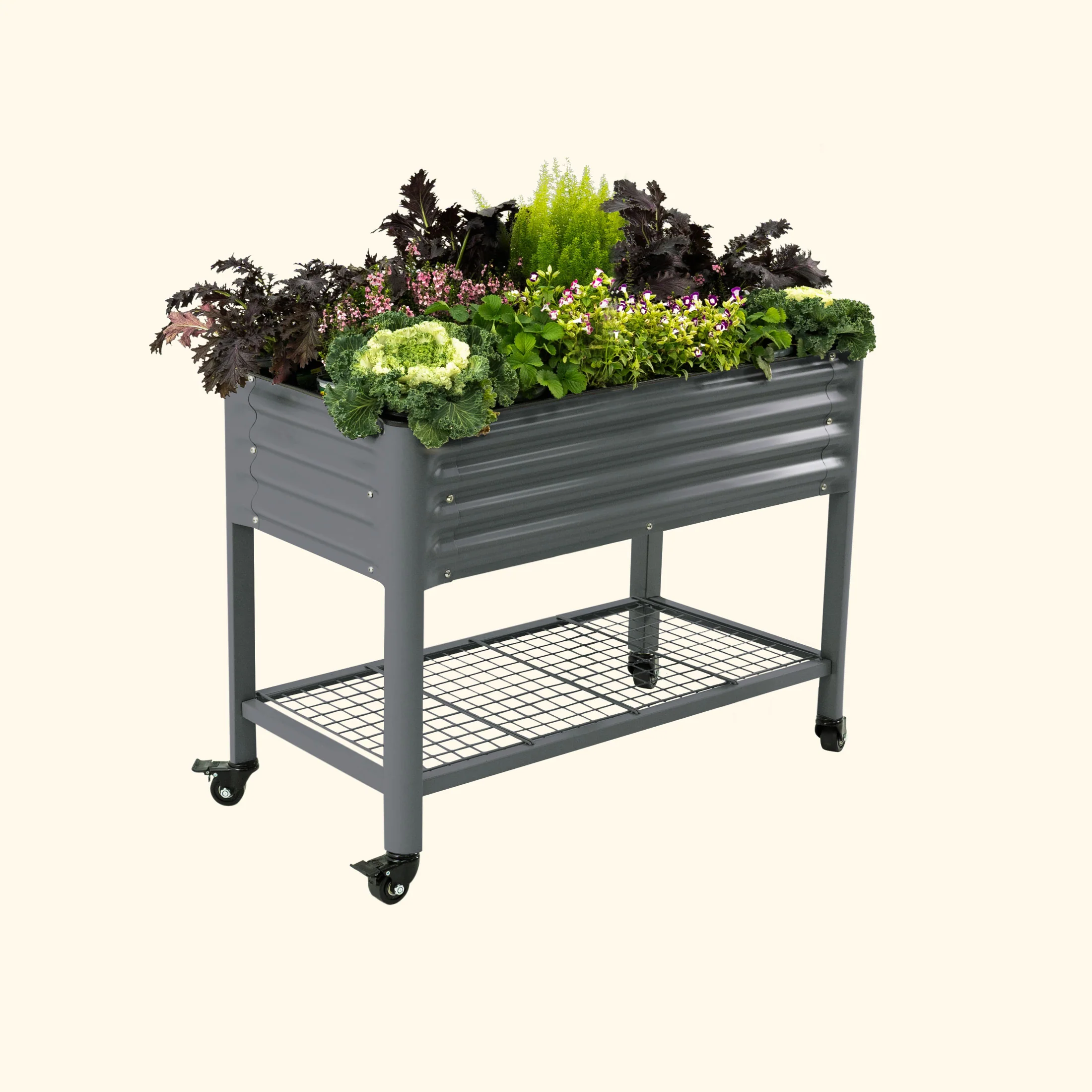 2025 Jardinera elevada – Serie V 2' x 4'