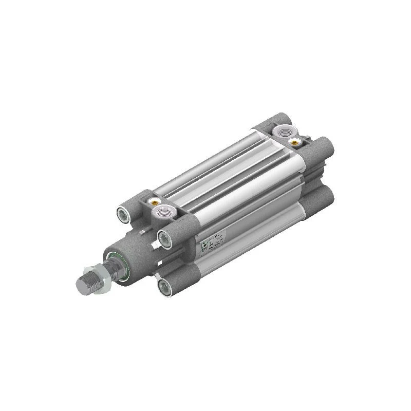 Pneumax 1391.40.700.01 Cylinder to ISO 15552